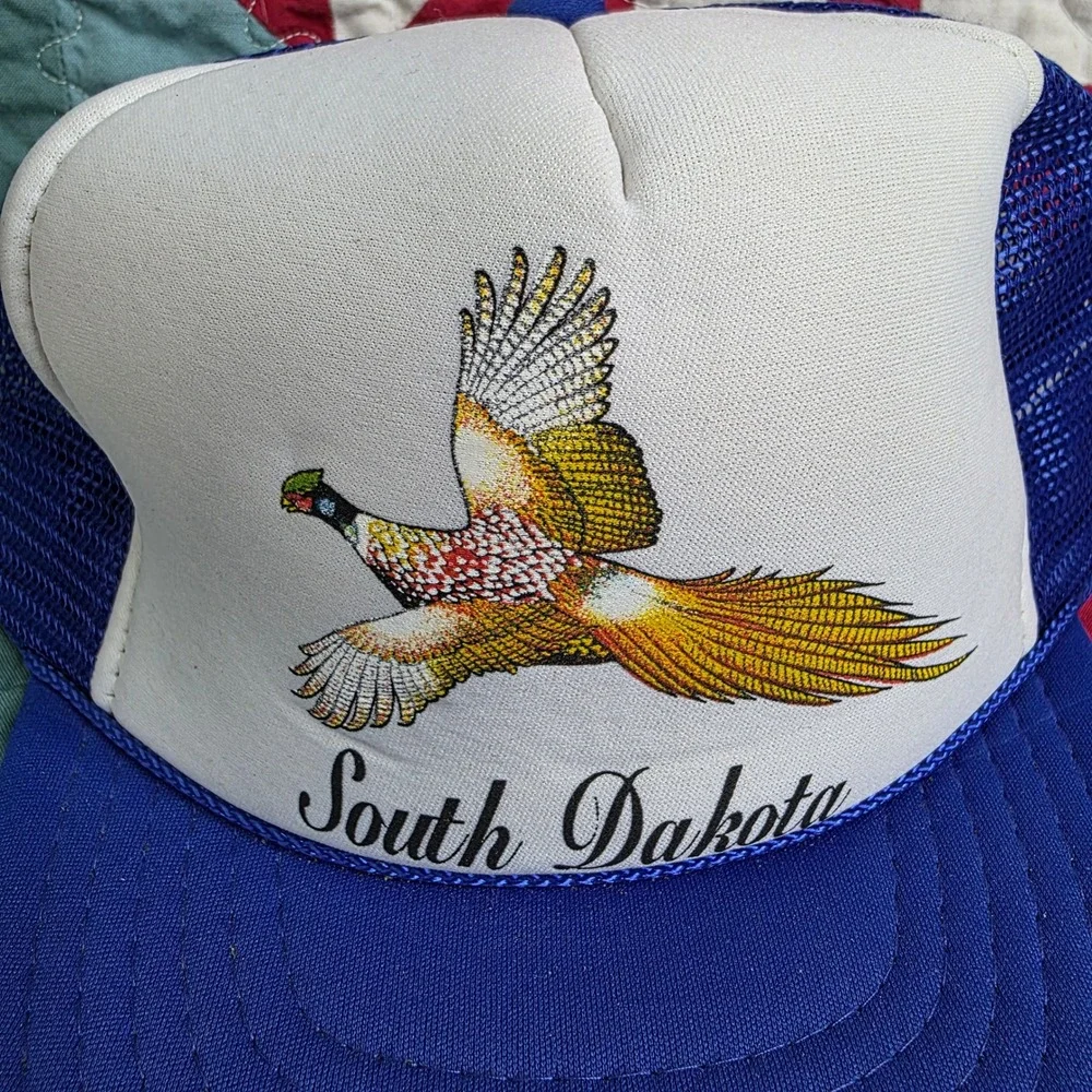 Nissin Cap vintage south